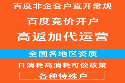 竞价排名关键词优化实战案例分析